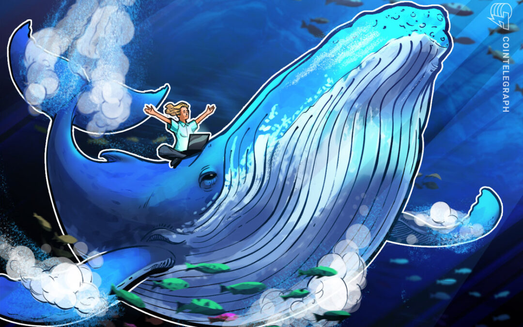 ‚Can it get any easier?‘ Bitcoin whales dictate when to buy and sell BTC